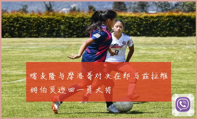喀麦隆与摩洛哥对决在即马兹拉维姆伯莫迎回一员大将